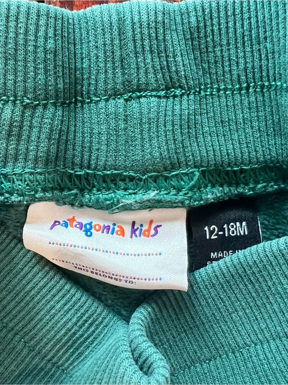 Patagonia Kids Teal Green Graphic Joggers with Navy Trim